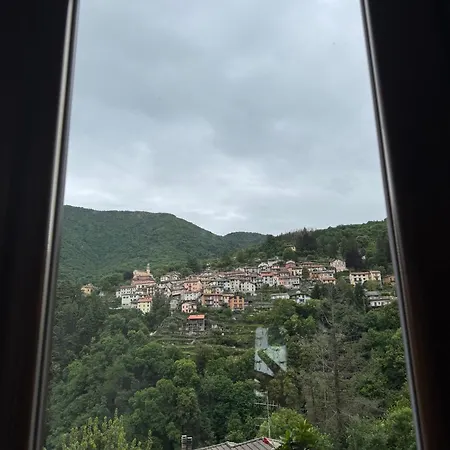 Adri Faggeto Lario